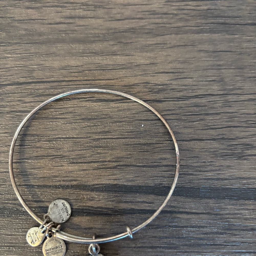 Love Alex and Ani bracelet - Picture 2 of 4